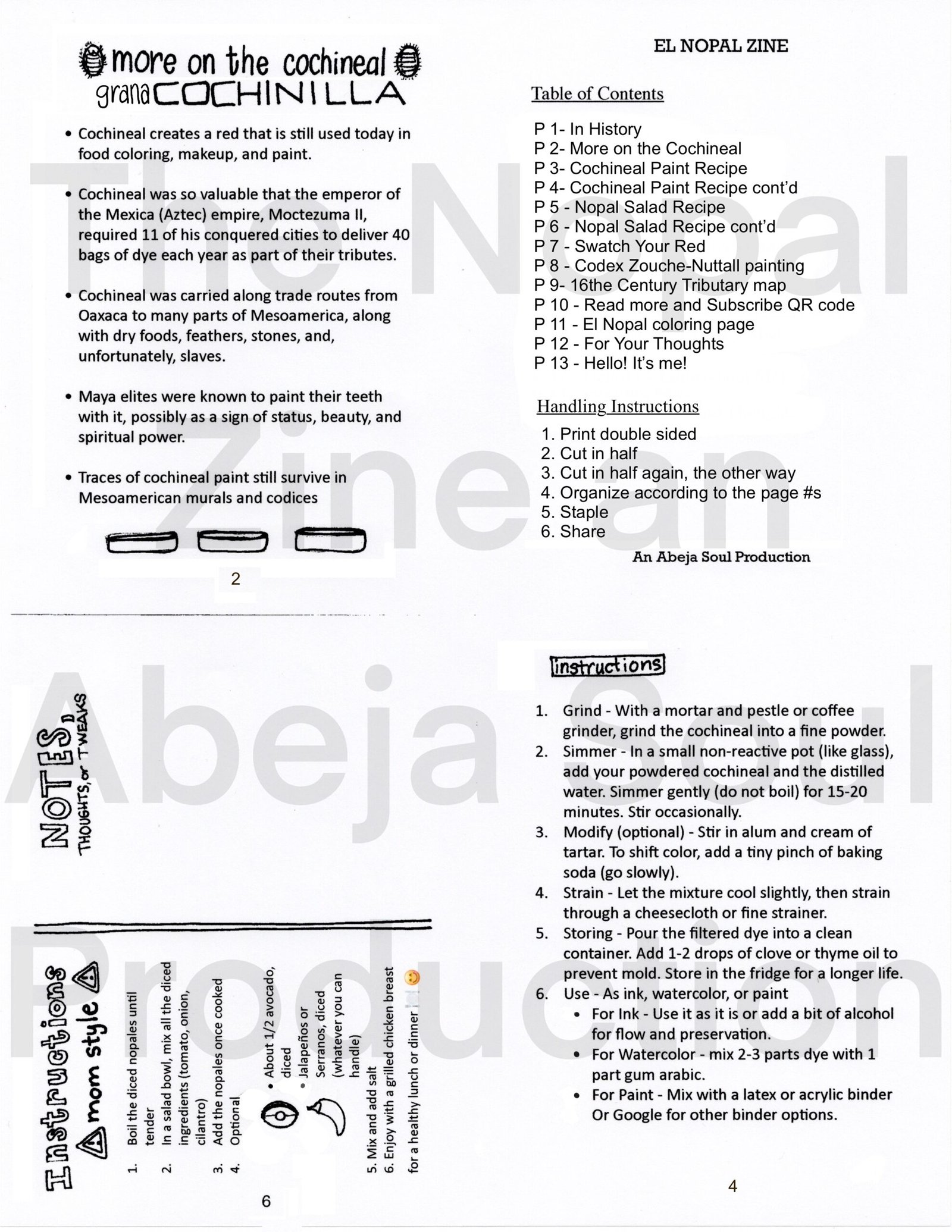 The Nopal Zine - Image 4